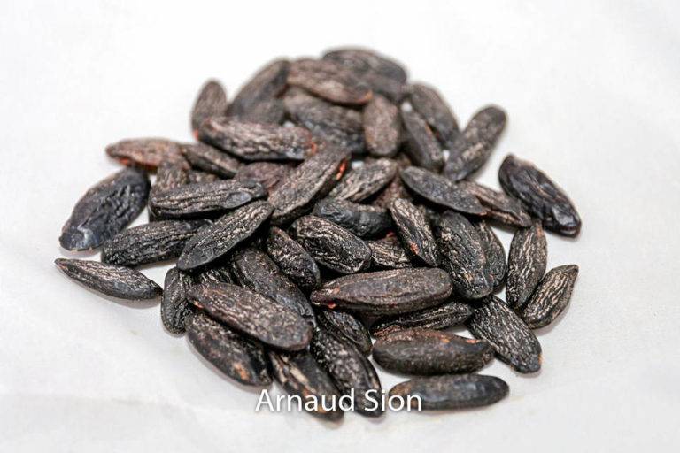 Fèves Tonka du Brésil – épice brésilienne Abaçai