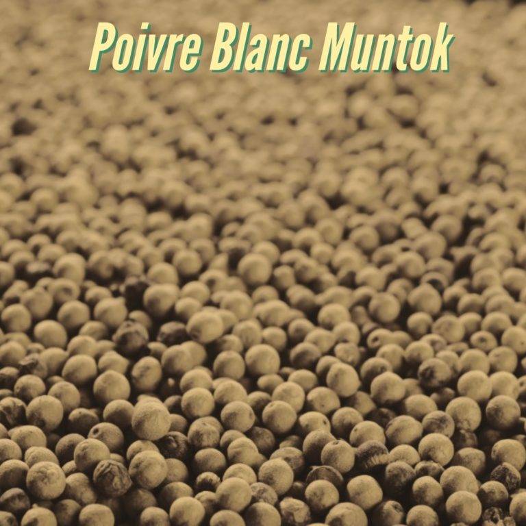 Poivre blanc en grains – Abaçai