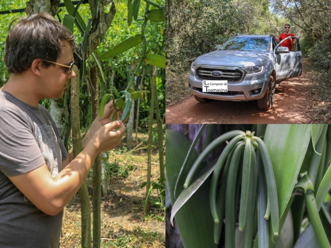 Coffret vanille : gousses de vanille de Madagascar et de Papouasie