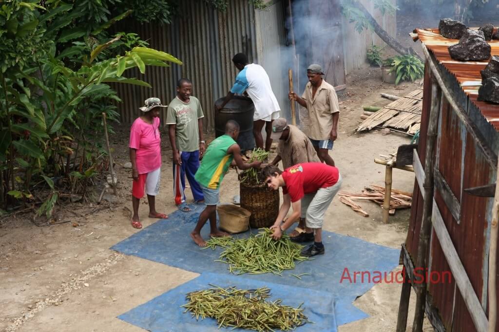 Formation d'Arnaud vanille à la culture de l'or noir de Madagascar - photo échaudage de la vanille