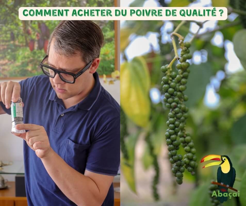 Acheter du poivre de qualité en vrac chez Abaçai