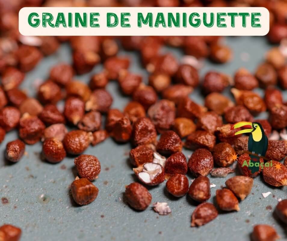 Acheter le poivre de Paradis, Maniguette, poivre de guinée