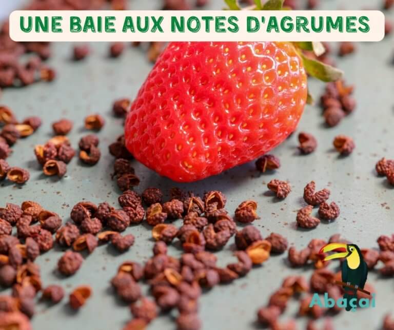 Une variété en particulier