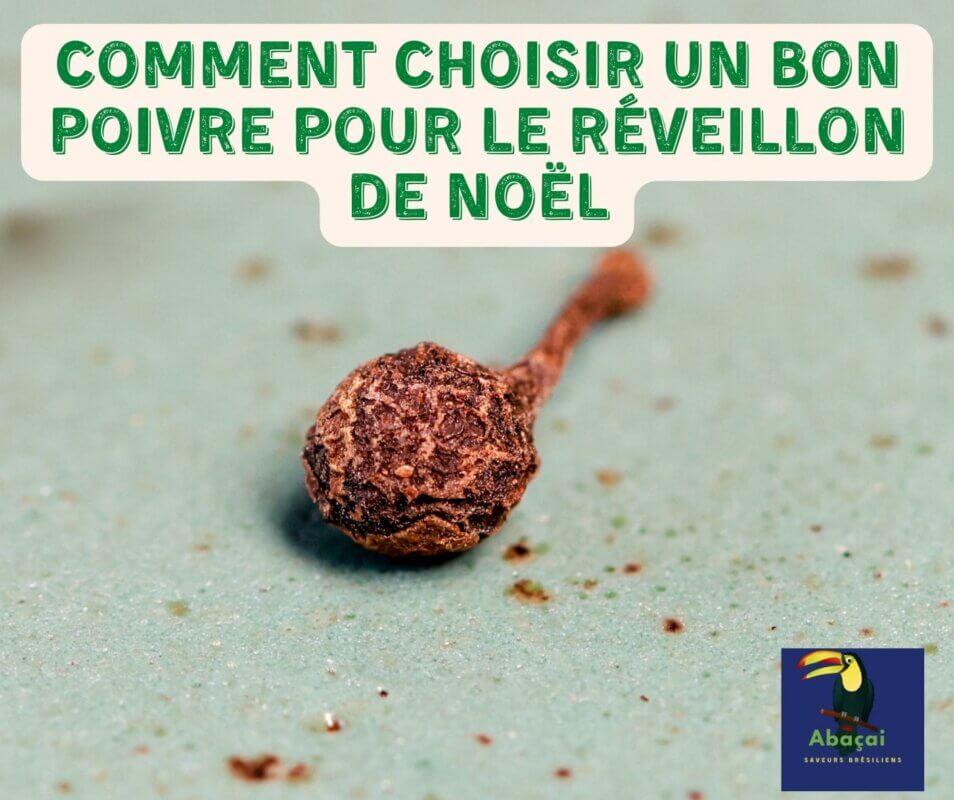 COMMENT CHOISIR UN BON POIVRE POUR LE RÉVEILLON DE NOËL