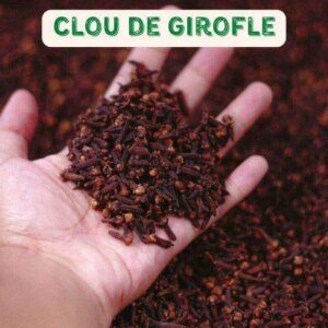 Clou de Girofle