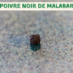 Poivre Noir de Malabar