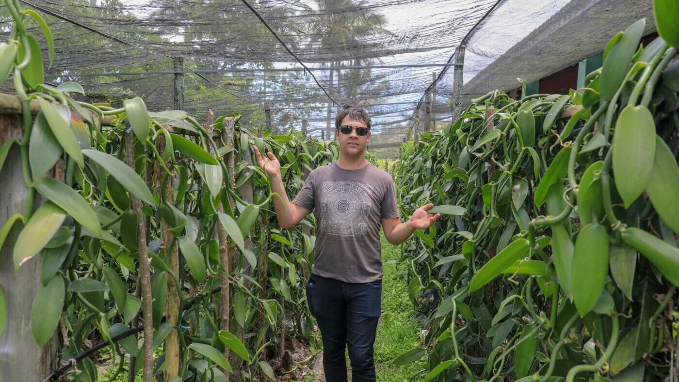 Arnaud Sion dans une plantation de vanille