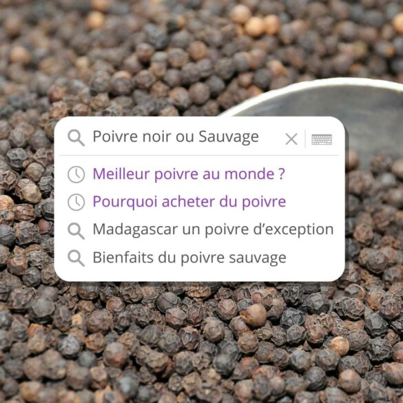 Différences entre le poivre sauvage de Madagascar et le poivre noir