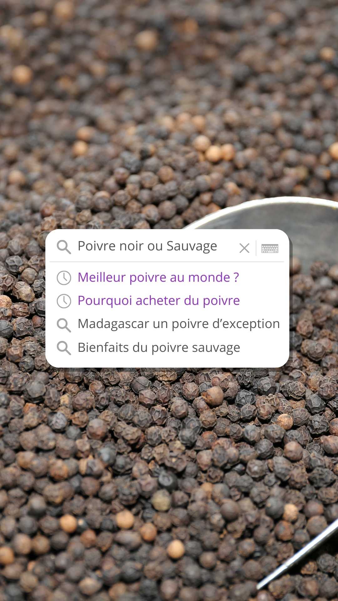 Différences entre le poivre sauvage de Madagascar et le poivre noir