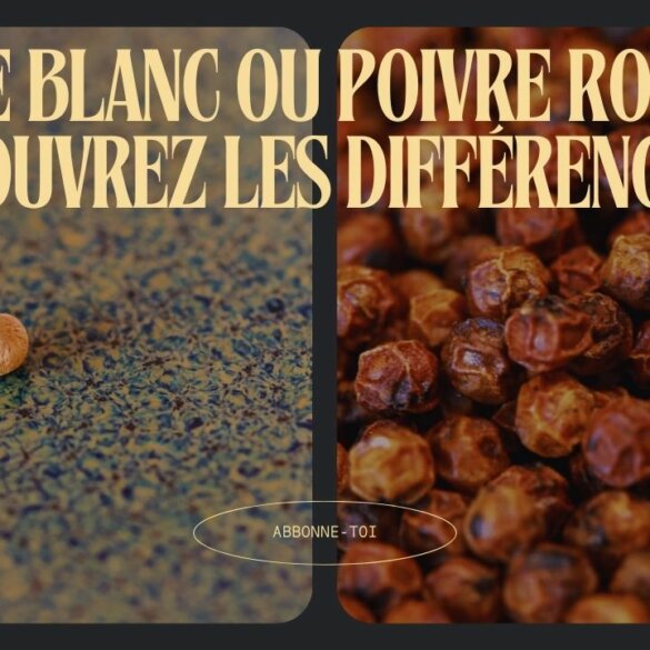 Poivre Blanc vs Poivre Rouge  Deux couleurs, Deux Univers