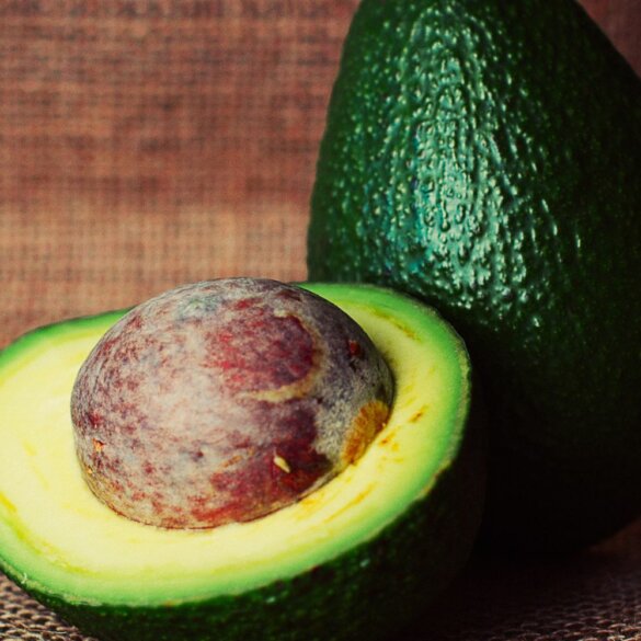 L'Avocat Un Superaliment aux Mille Vertus
