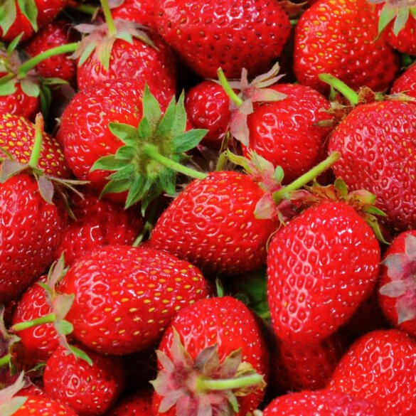 Les Bienfaits de la Fraise 9 Raisons de l’Adopter + Recettes Saines