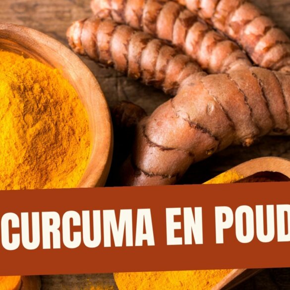 Le Curcuma en Poudre Le Guide Ultime de l’Épice d’Or – Science, Bienfaits et Utilisation Le Curcuma en Poudre Le Guide Ultime de l'Épice d'Or – Science, Bienfaits et Utilisation