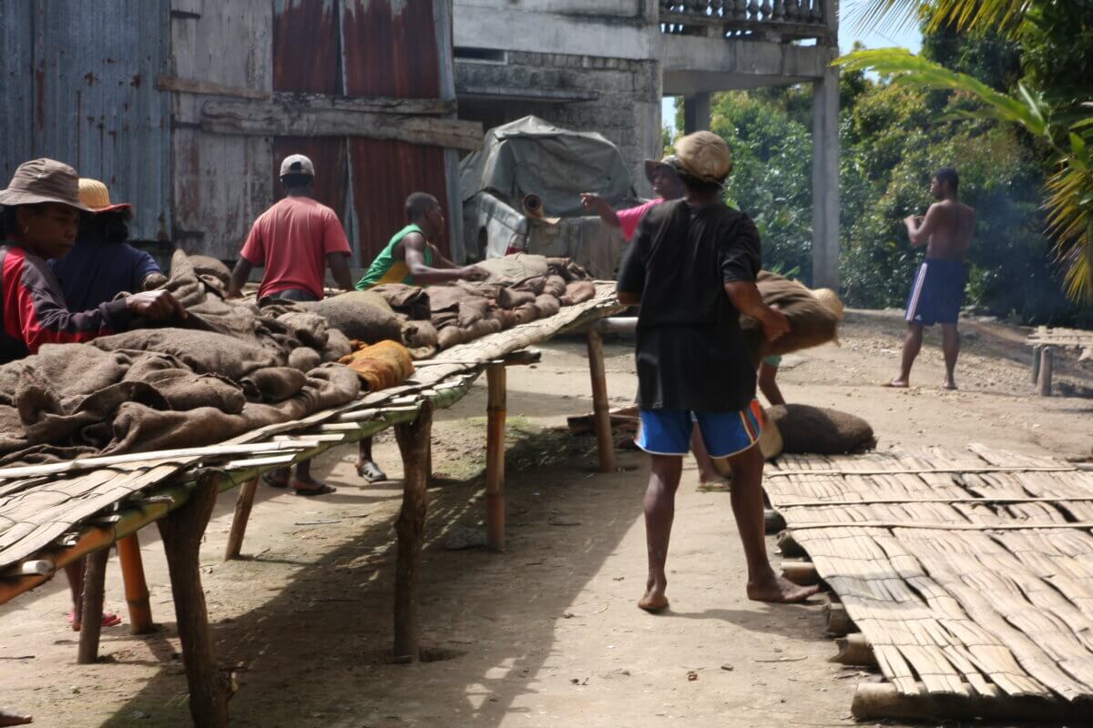 Une plantation de vanille où j'ai été formé aux gestes de la culture et de la préparation.