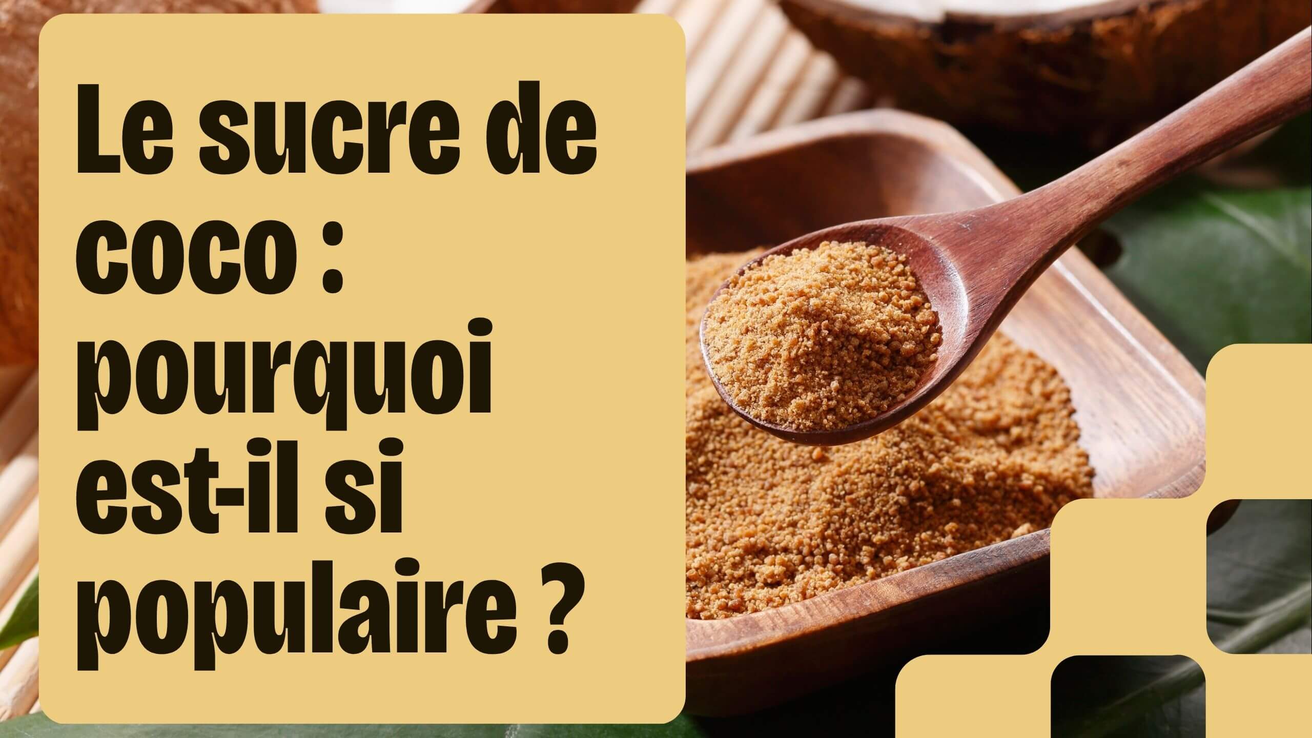 Le sucre de coco pourquoi est-il si populaire Bienfaits, utilisation et prix