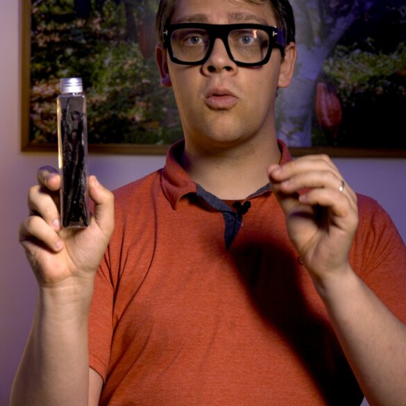 Vanille Bourbon Comment Choisir la Meilleure Gousse de Vanille