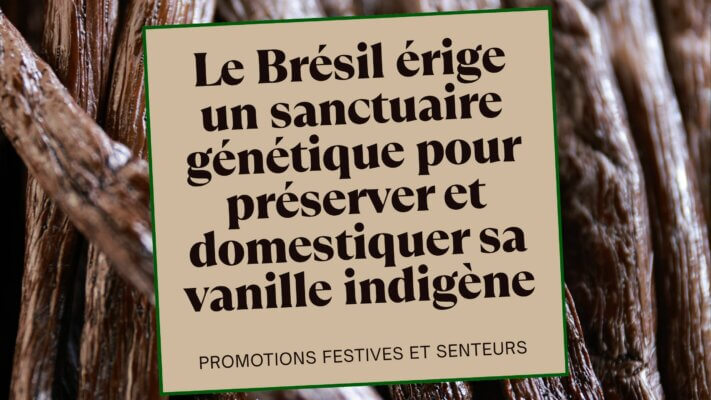 Le Brésil érige un sanctuaire génétique pour préserver et domestiquer sa vanille indigène