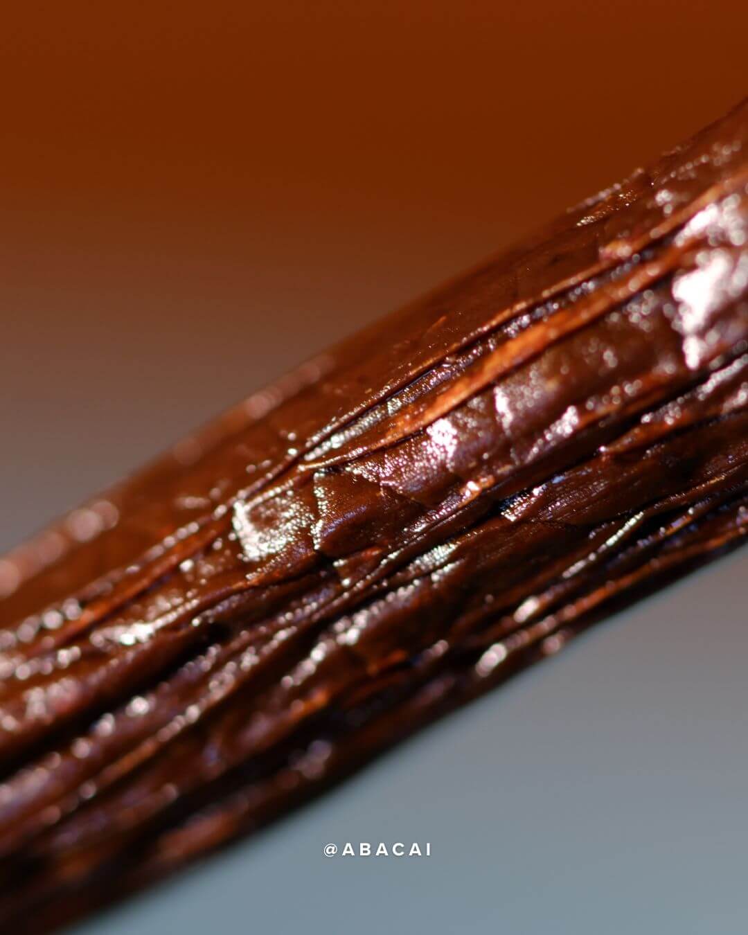 Gousse de vanille planifolia