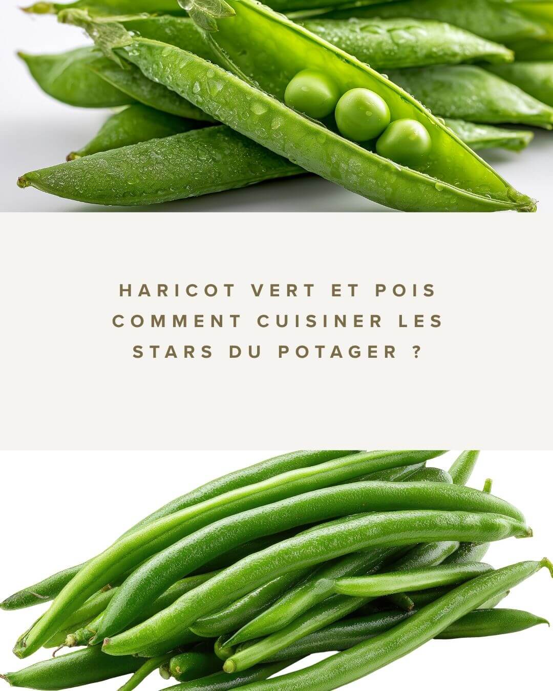 Haricot vert et pois comment cuisiner les stars du potager