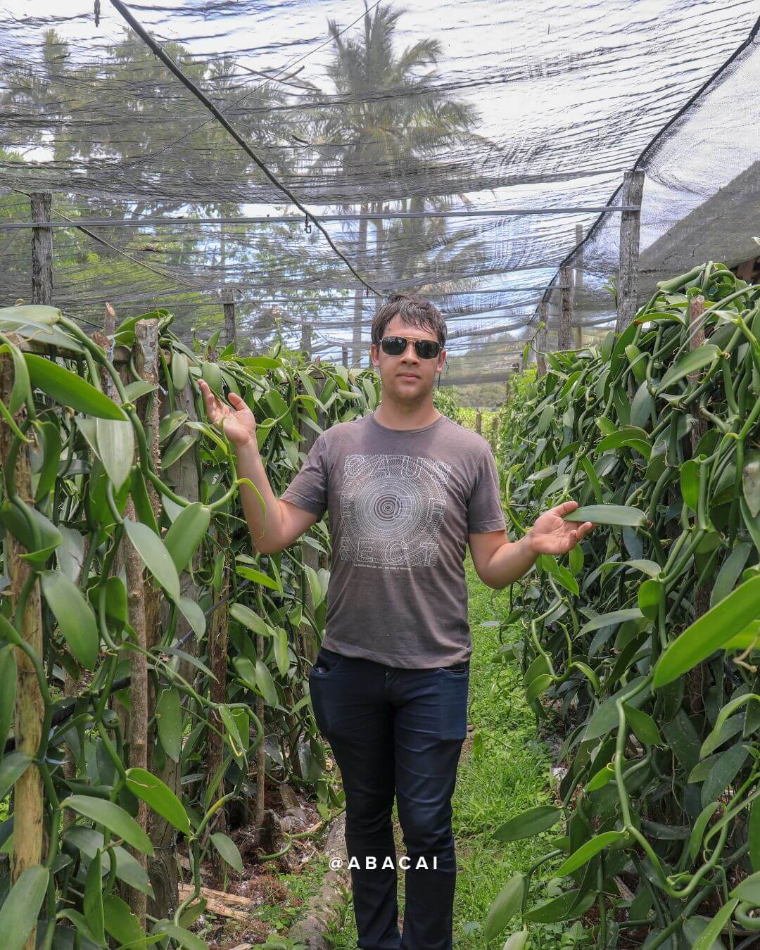 Le monde de la vanille