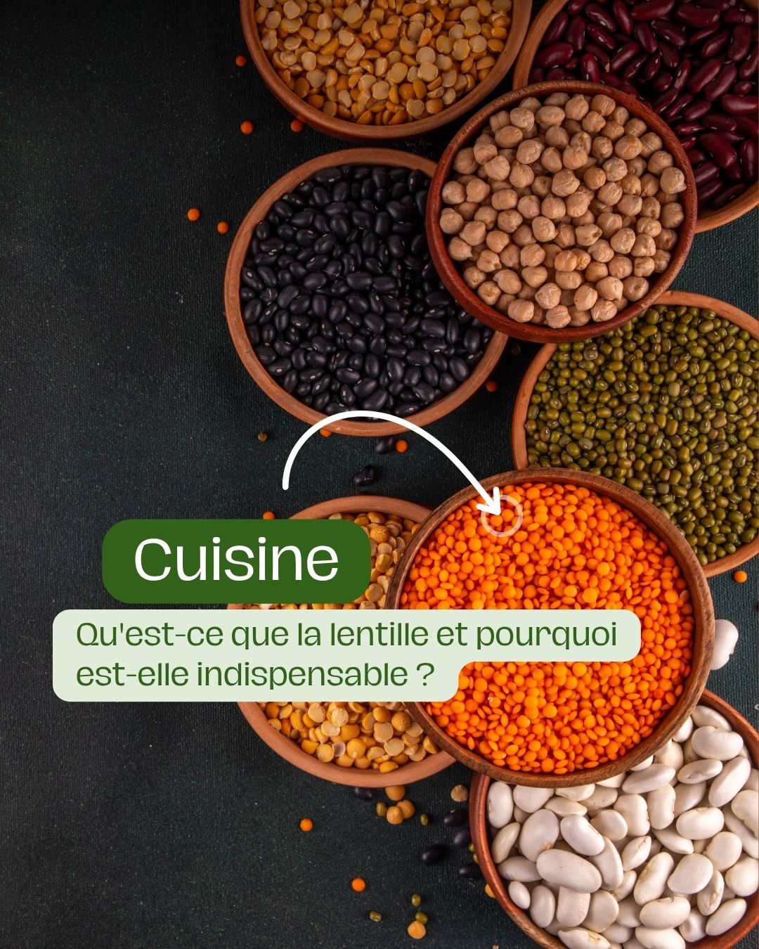 Qu'est-ce que la lentille et pourquoi est-elle indispensable