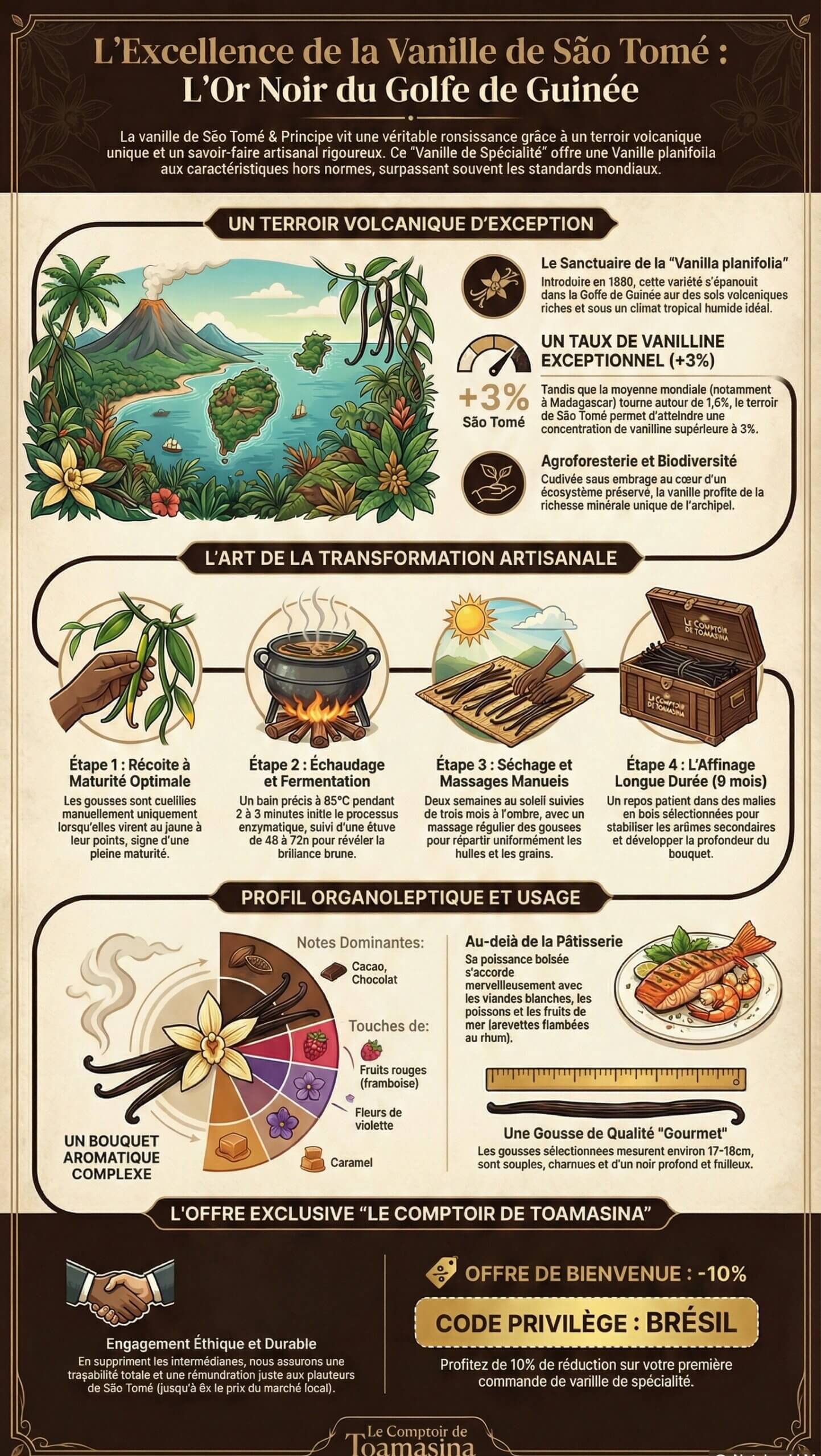 Pourquoi la vanille de São Tomé 23