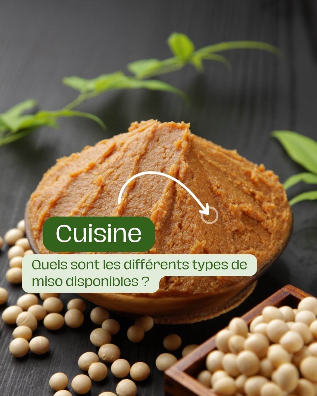 Quels sont les différents types de miso disponibles