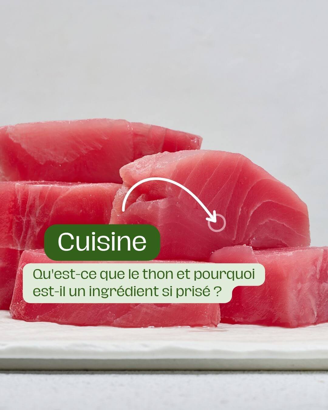 Qu'est-ce que le thon et pourquoi est-il un ingrédient si prisé