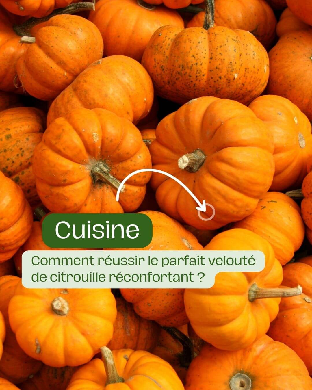 Comment réussir le parfait velouté de citrouille