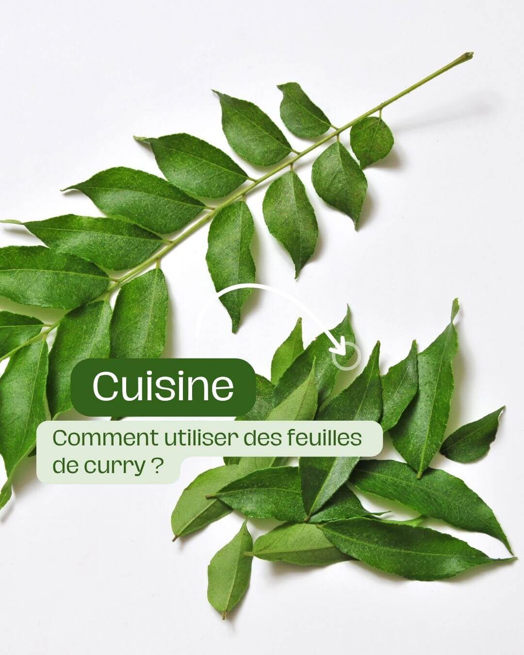 Comment utiliser des feuilles de curry