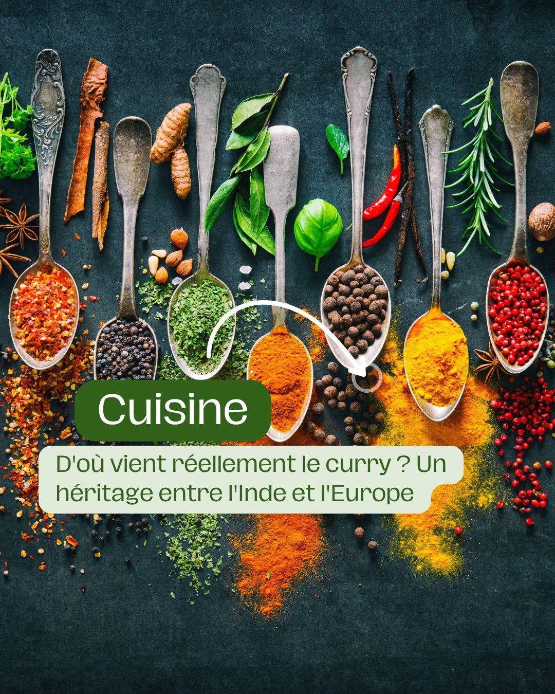 D'où vient réellement le curry Un héritage entre l'Inde et l'Europe