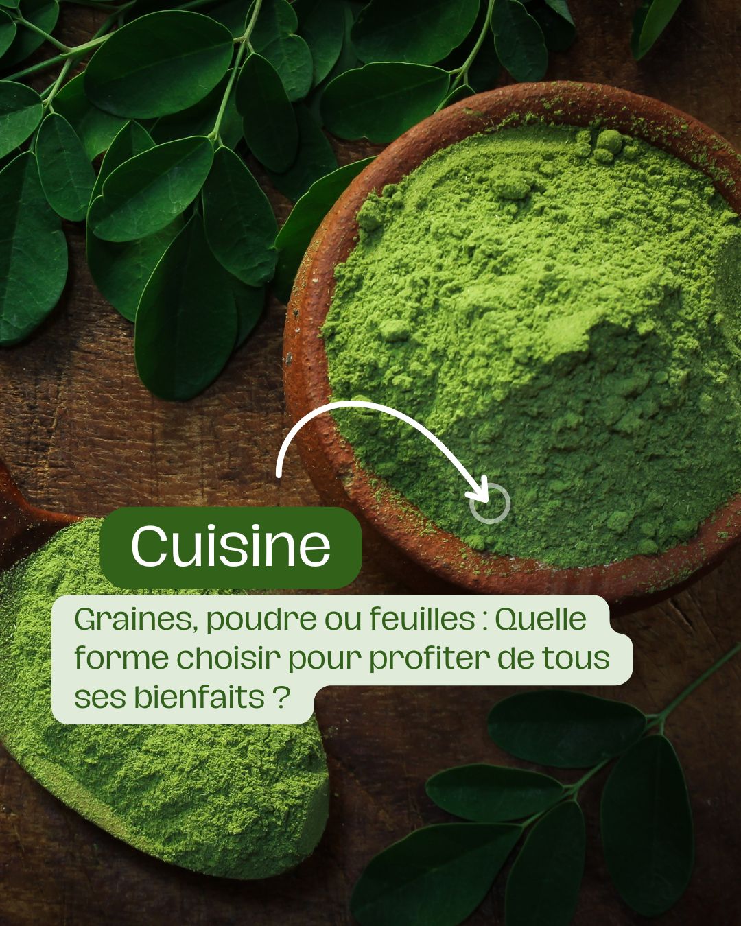 Graines, poudre ou feuilles Quelle forme choisir pour profiter de tous ses bienfaits