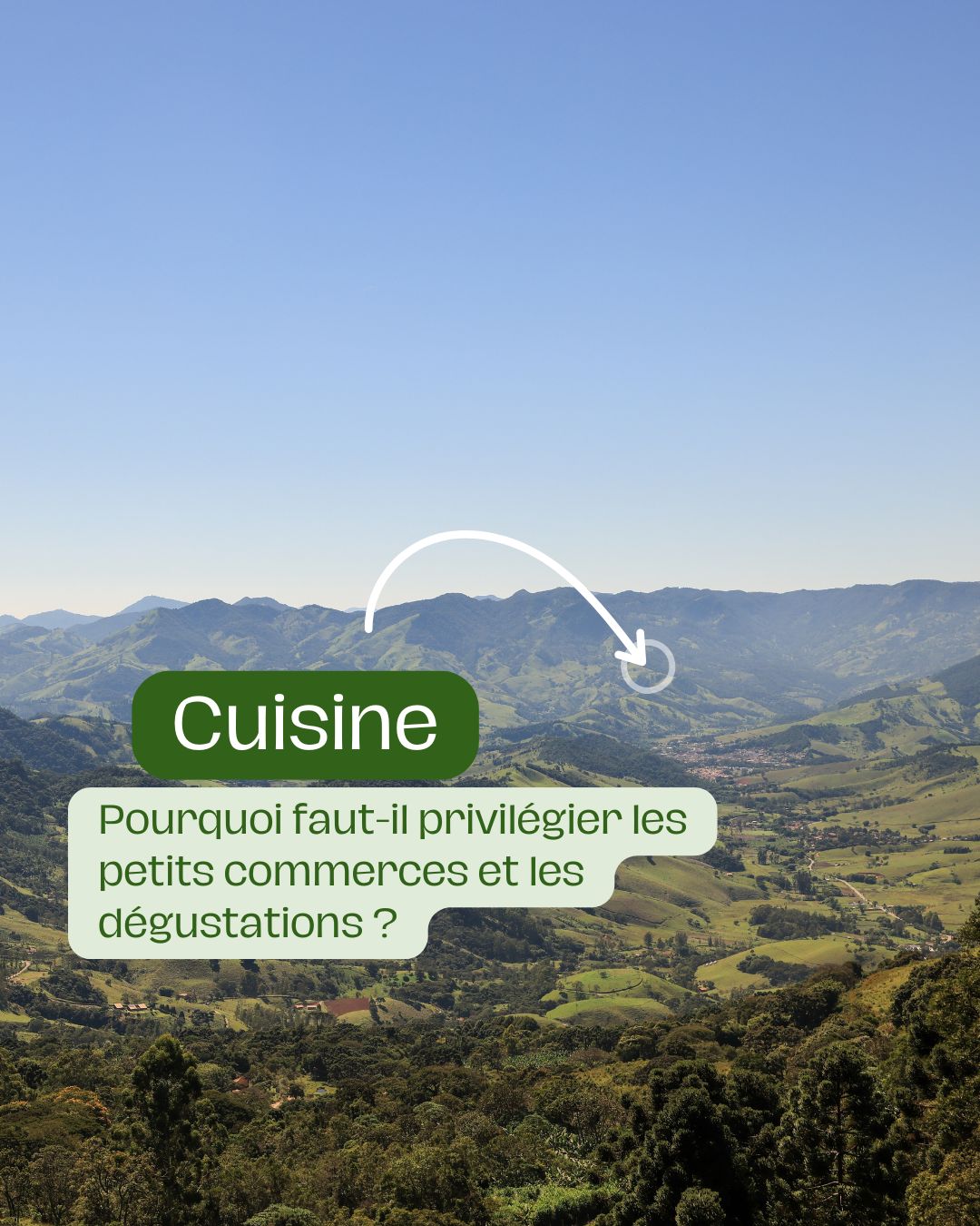 La meilleure huile d'olive au monde une découverte Arnaud Vanille