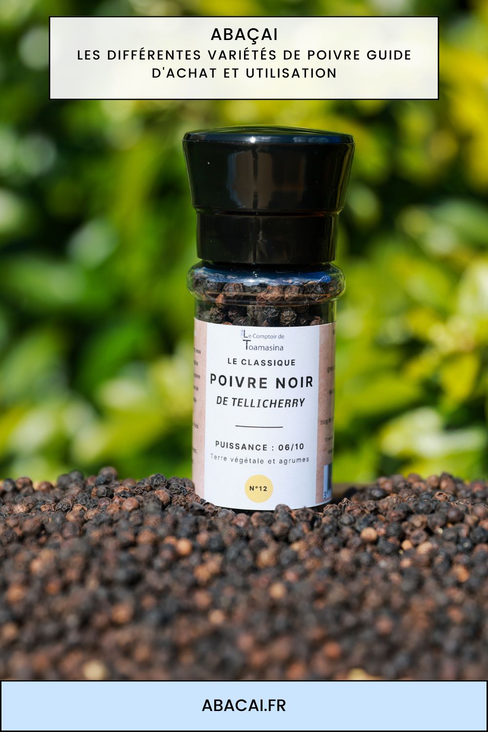 Les différentes variétés de poivre guide d'achat et utilisation