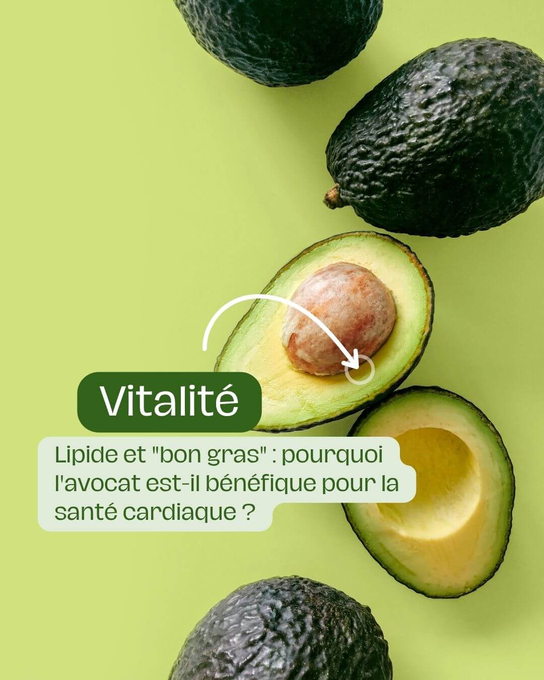 Lipide et bon gras pourquoi l'avocat est-il bénéfique pour la santé cardiaque