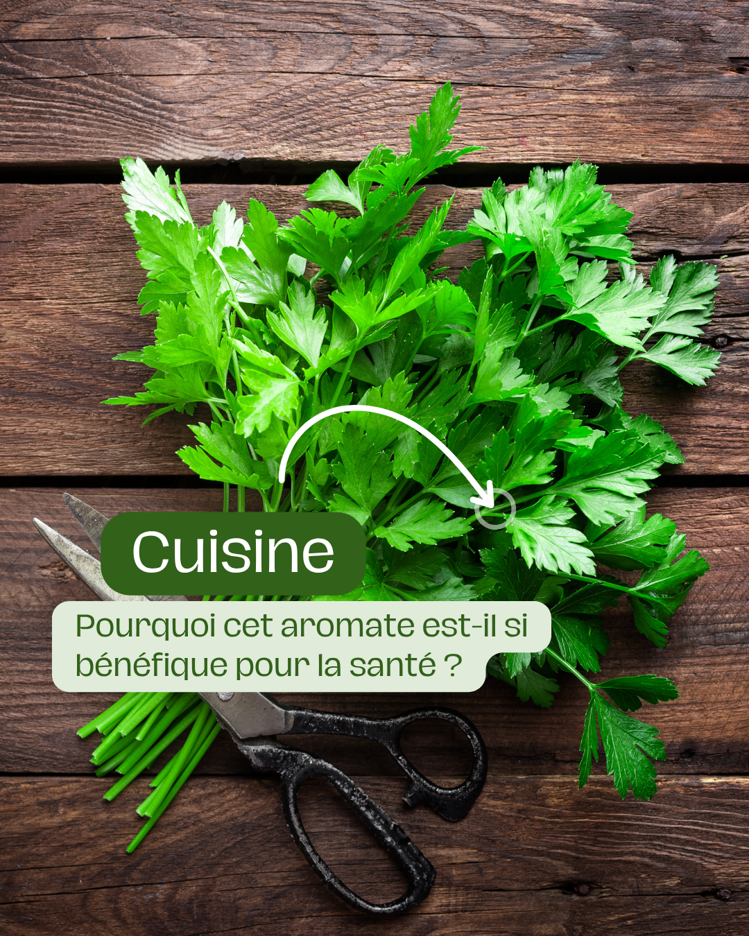 Pourquoi cet aromate est-il si bénéfique pour la santé