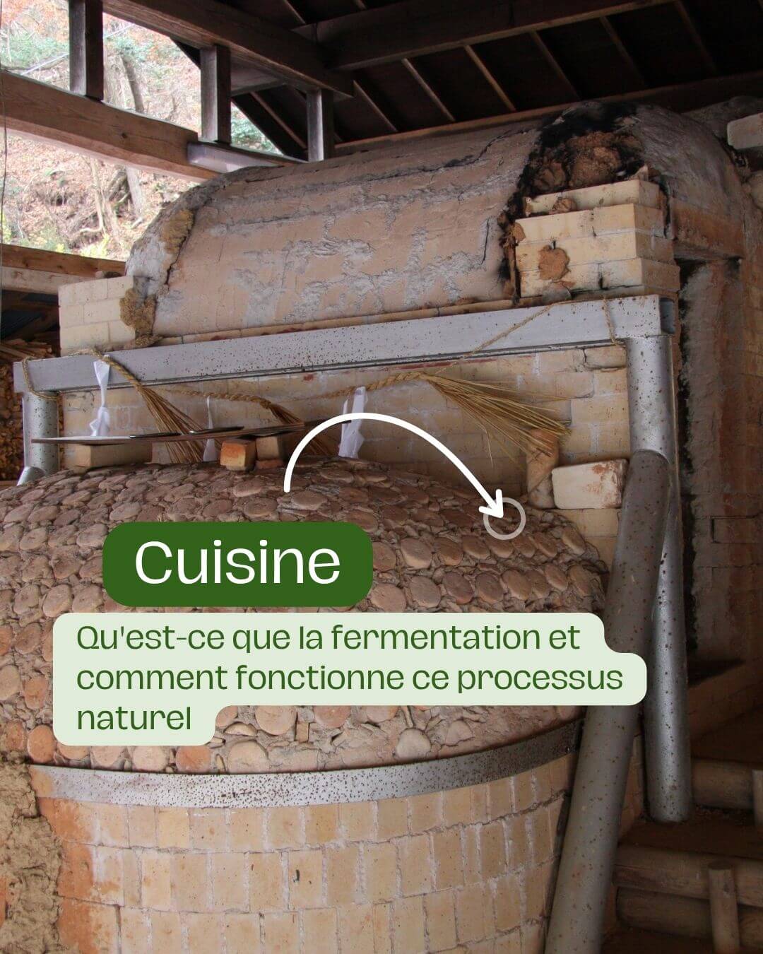 Pourquoi fermenter ses aliments (Conservation et sécurité alimentaire)