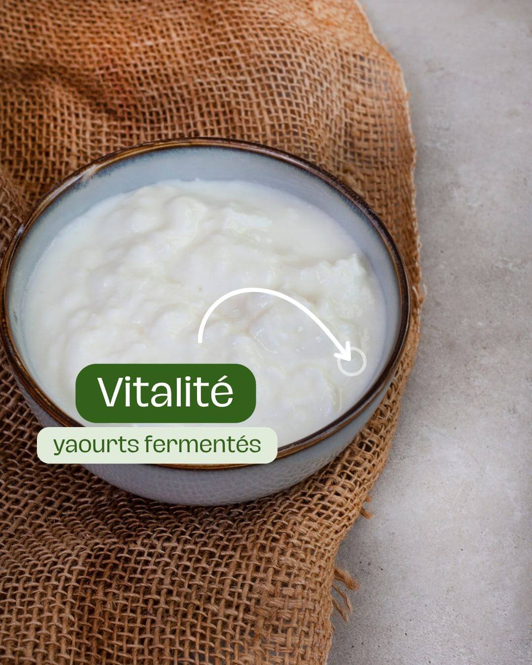 Quel est le rôle des aliments fonctionnels sur le système digestif et intestinal