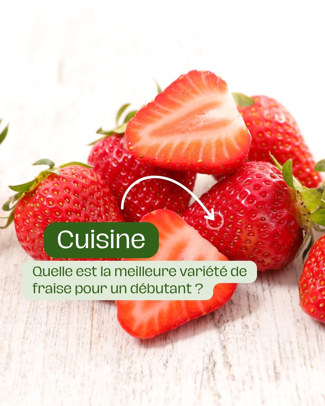 Quelle est la meilleure variété de fraise pour un débutant