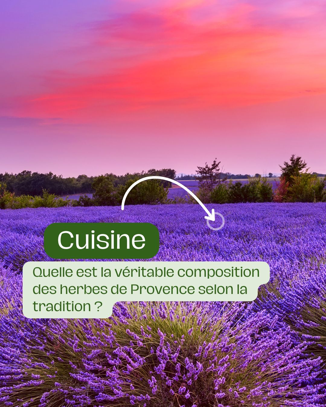 Quelle est la véritable composition des herbes de Provence selon la tradition