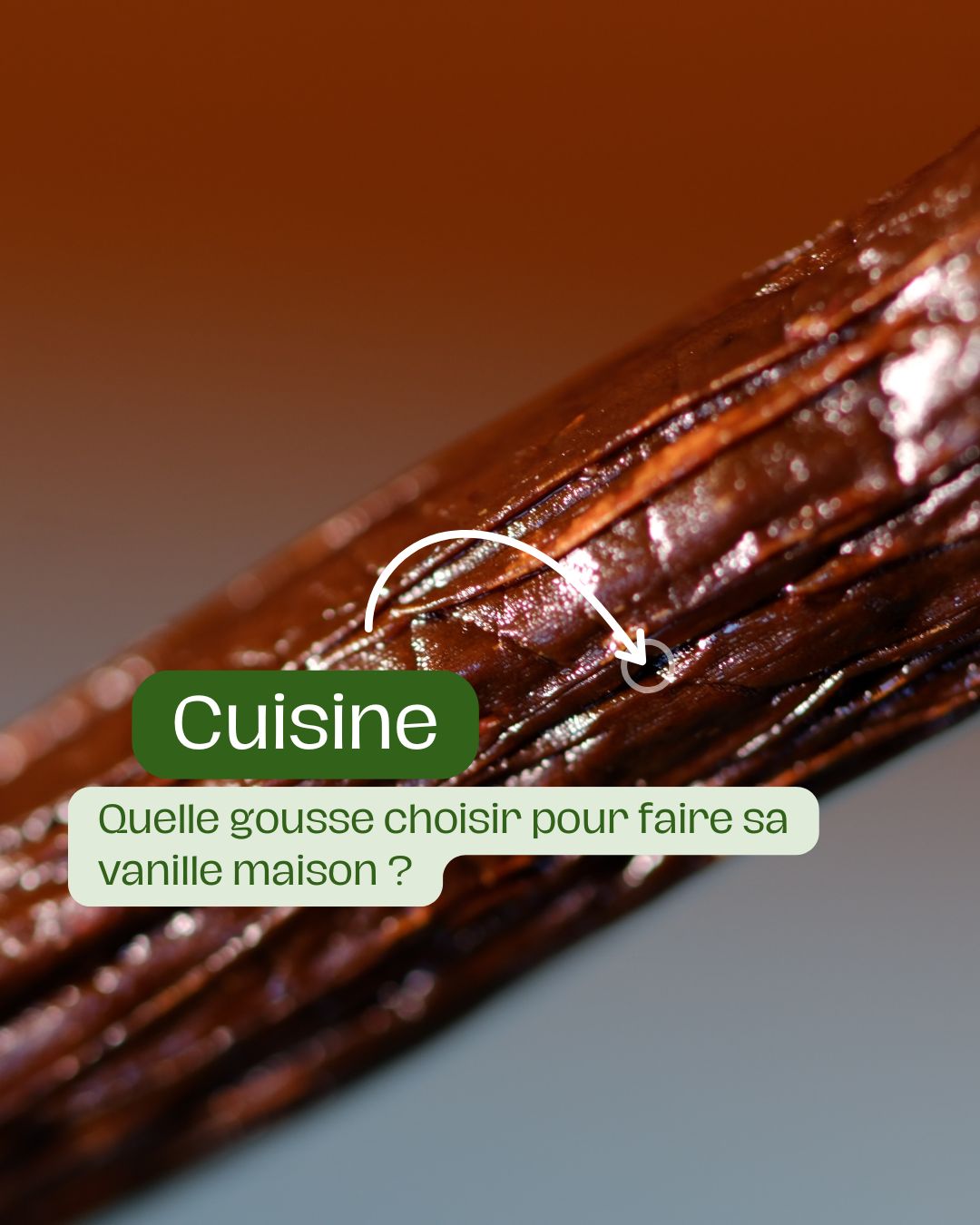 Quelle gousse choisir pour faire sa vanille maison