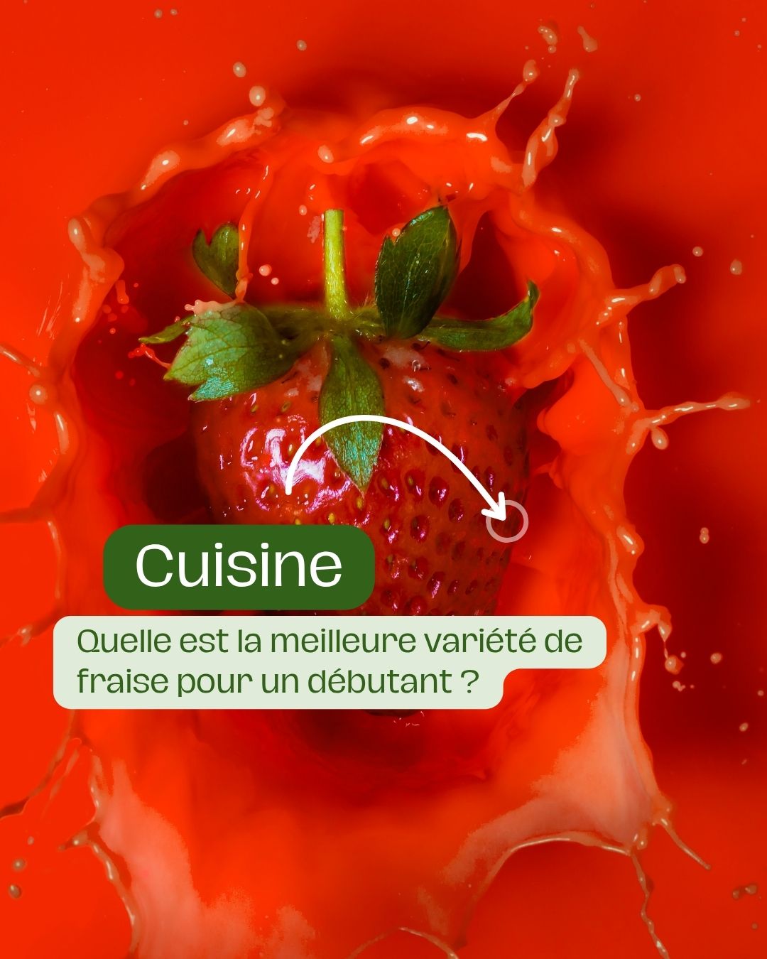 Quelles sont les meilleures variétés de fraisiers à cultiver pour de gros fruits