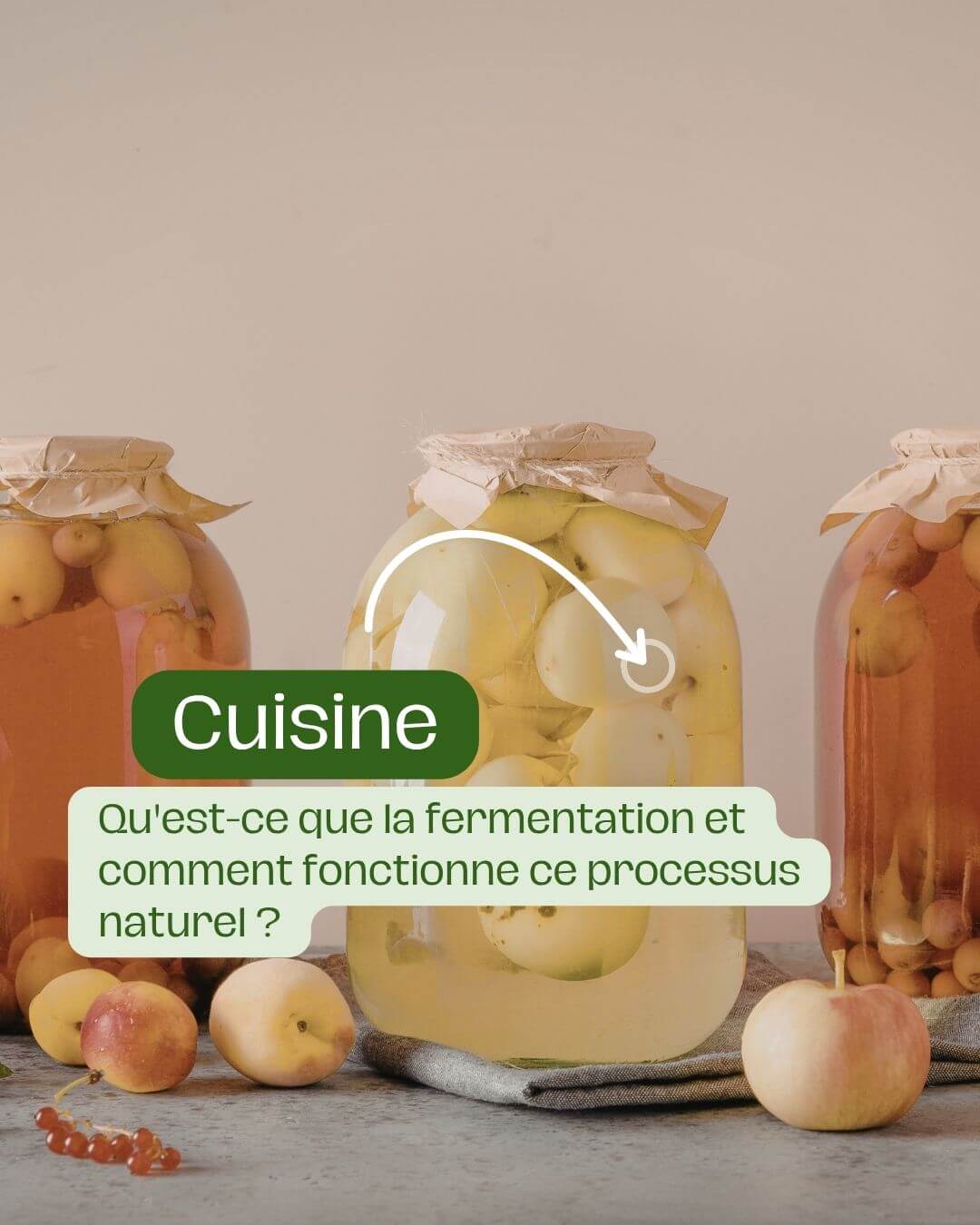 Qu'est-ce que la fermentation et comment fonctionne ce processus naturel