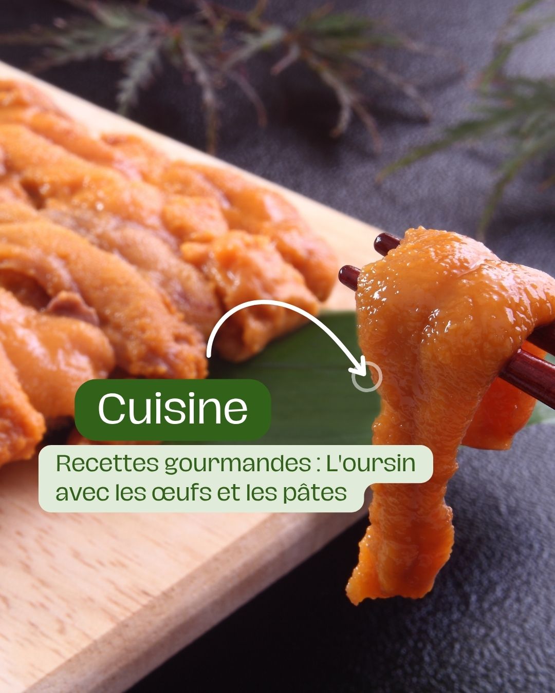 Recettes gourmandes L'oursin avec les œufs et les pâtes