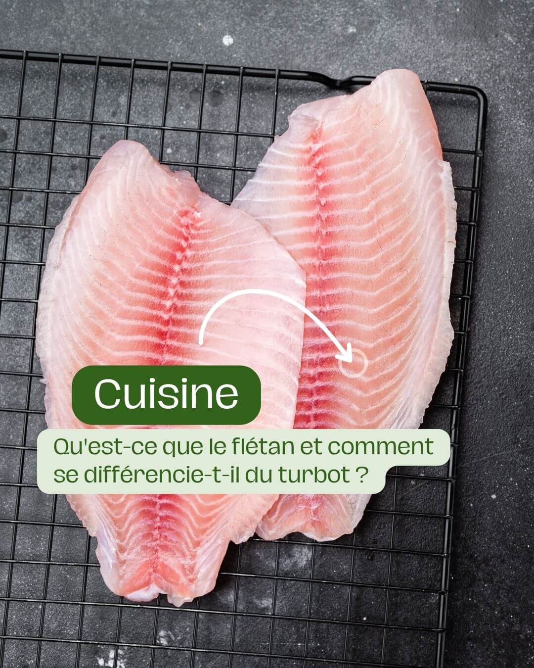 filet de turbot