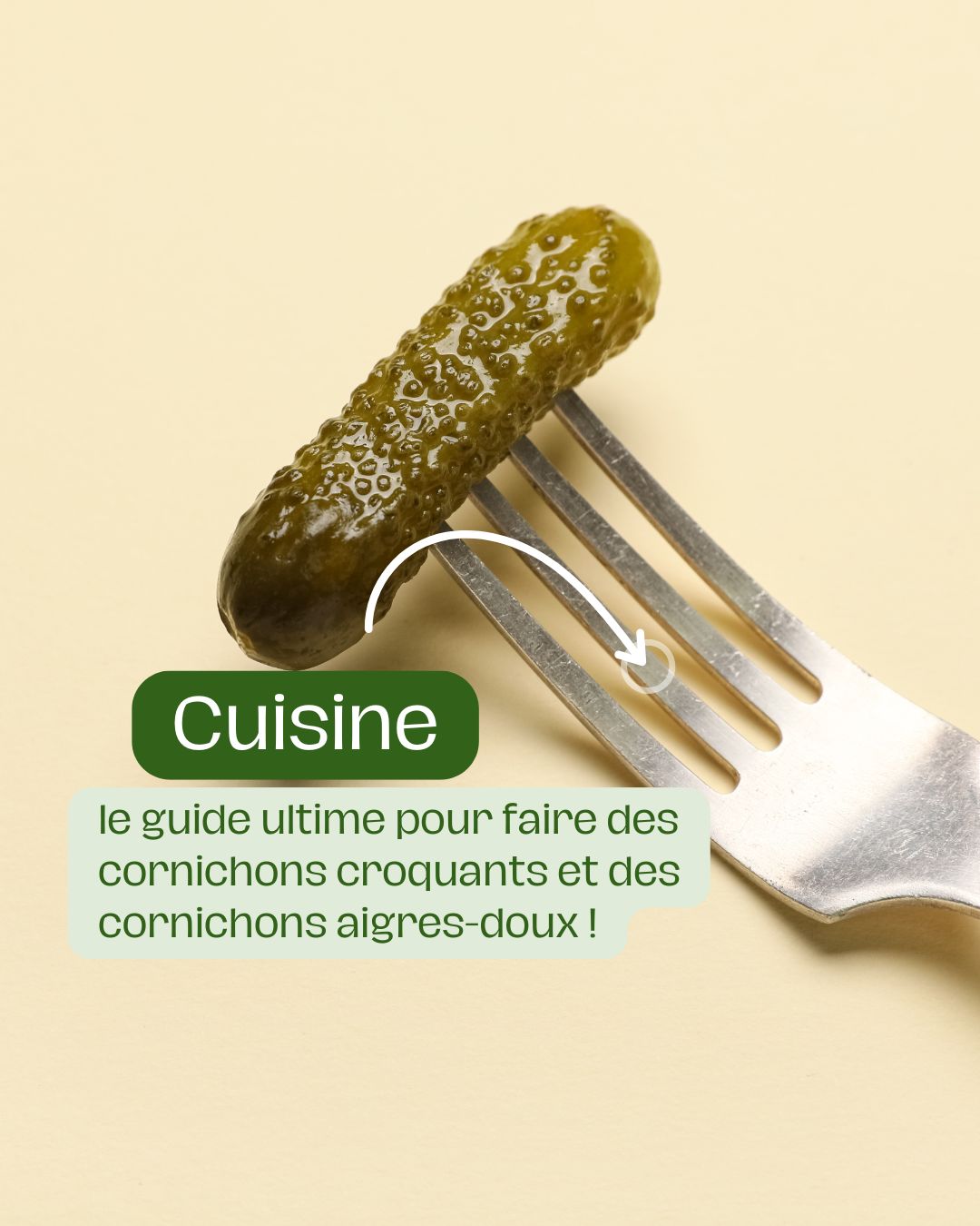 le guide ultime pour faire des cornichons croquants et des cornichons aigres-doux !