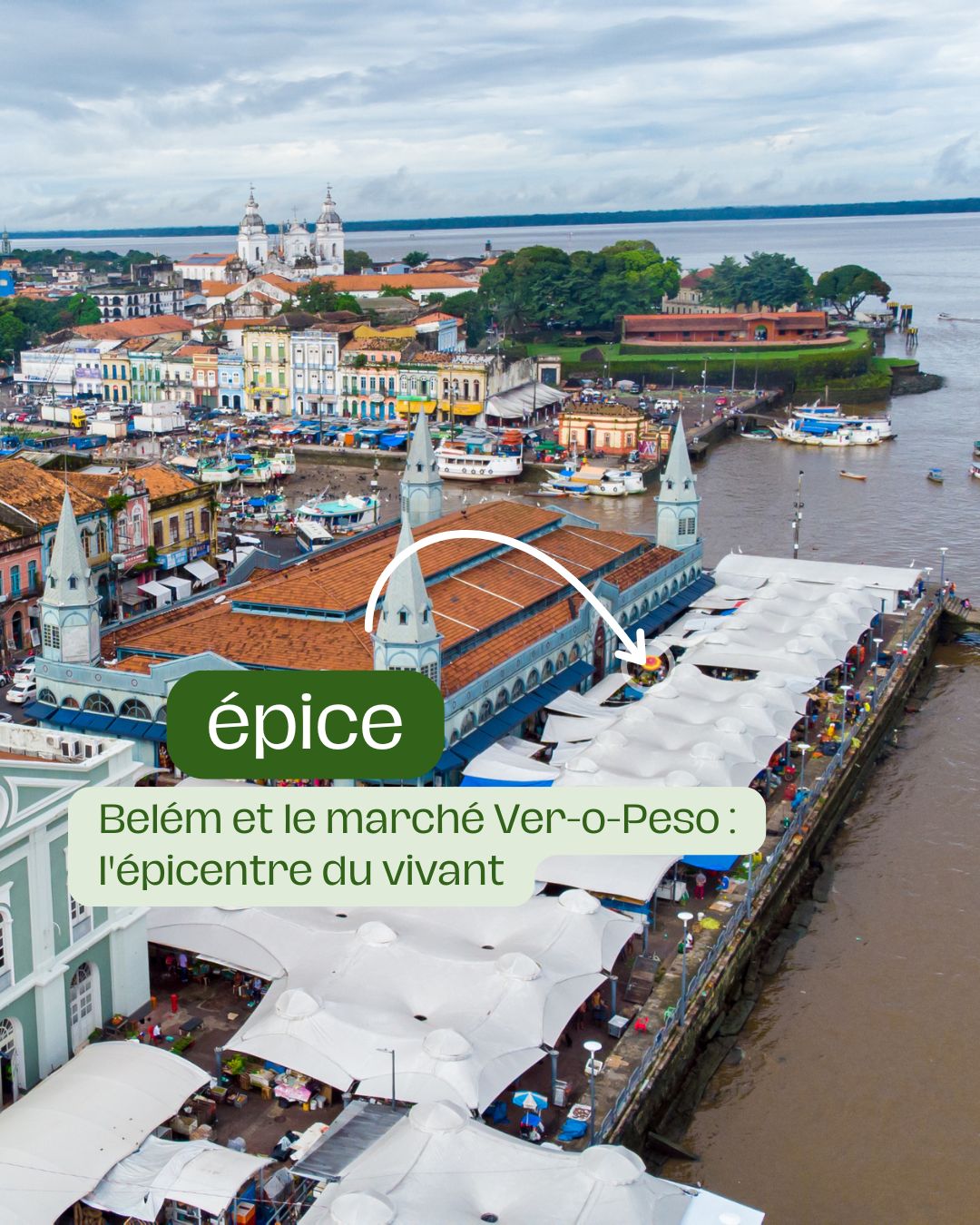 Belém et le marché Ver-o-Peso l'épicentre du vivant