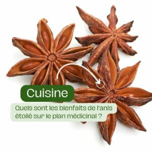 Quels sont les bienfaits de l'anis étoilé sur le plan médicinal