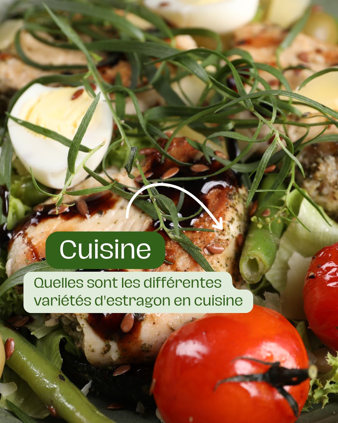 estragon en cuisine