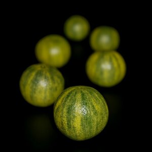 Thé Vert Évasion Paulista — Agrumes
